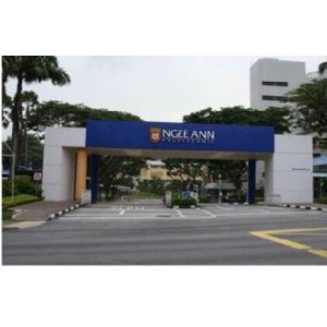Ngee Ann Polytechnic A & A Works